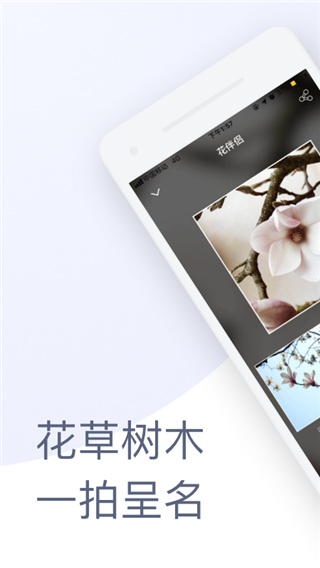 花伴侣app官方版截图1