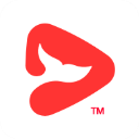 锦书在线appv2.32.49.10002