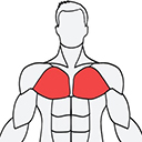 MuscleWiki中文版v1.0