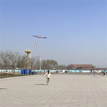 志愿山东app