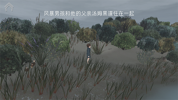 男孩与鹈鹕中文版截图2