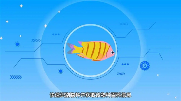 看鱼App