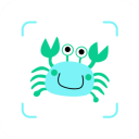看鱼Appv2.6.6