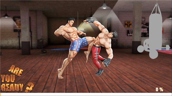 GYM格斗游戏截图1