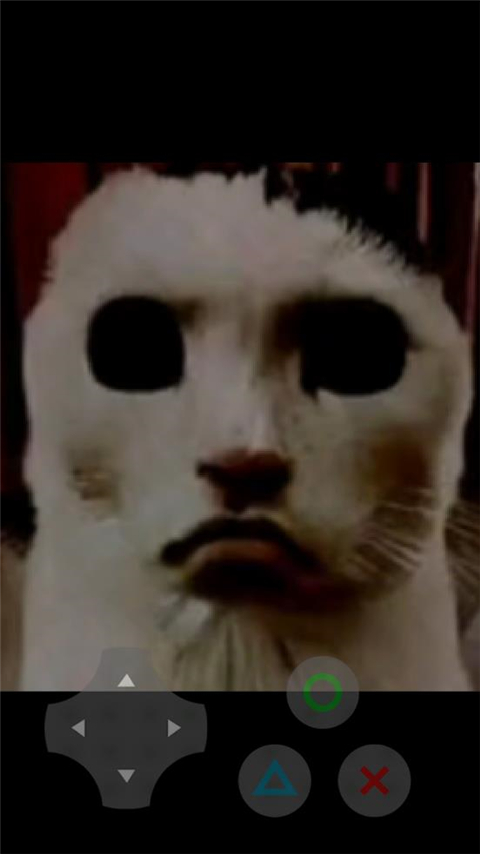 猫猫惊魂正版截图5