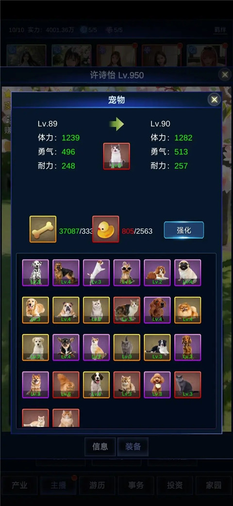 装备选择界面