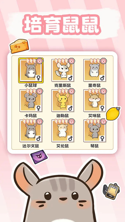 社会我猫哥手游截图3