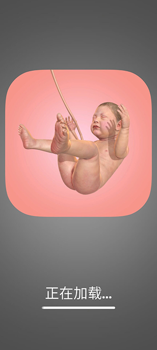 九个月游戏(9 Months)截图1
