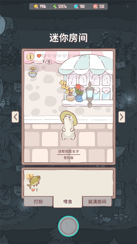 猫咪和汤官方正版