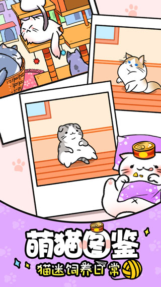 猫咪公寓手游截图1
