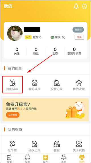 友猫app