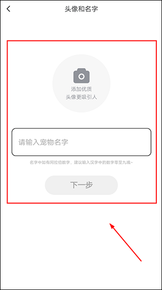友猫app