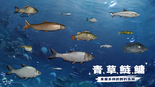 天天钓鱼官方正版截图3