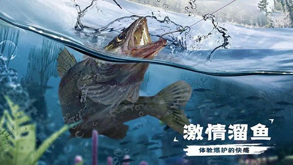 天天钓鱼官方正版截图5