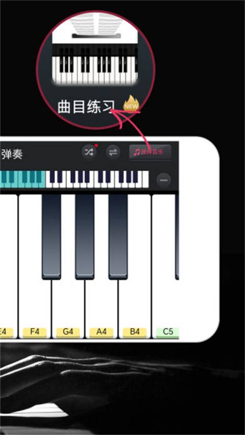 模拟钢琴免费版截图2