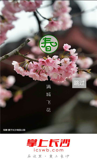 掌上长沙app截图1