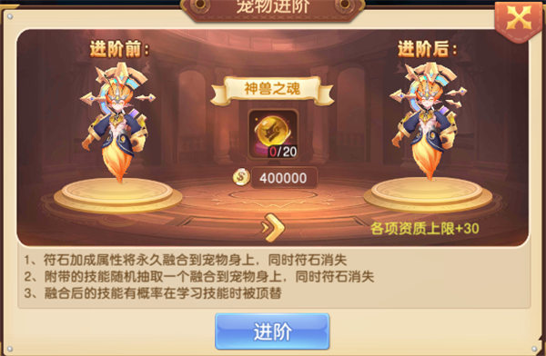 驯龙物语vivo版