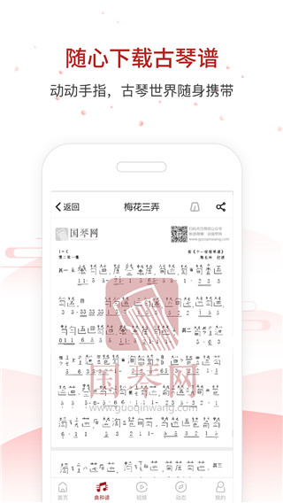 国琴网手机版截图3