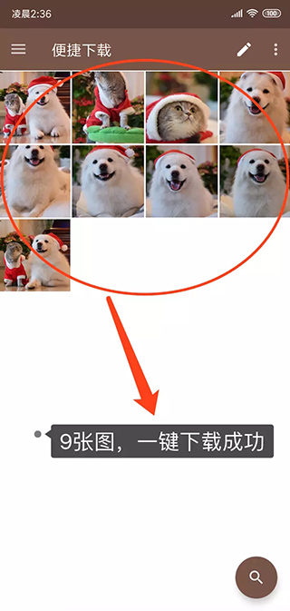 便捷下载app最新版
