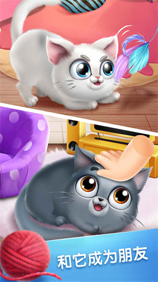 口袋猫咪手游截图2