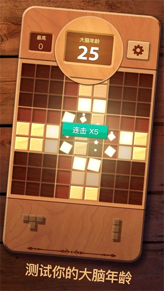 木块九宫格游戏(woodoku)截图3