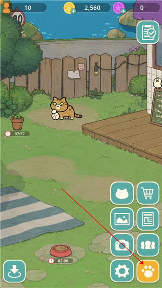 神秘猫咪字典手游