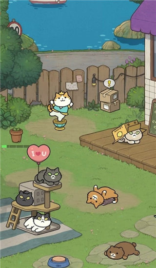 神秘猫咪字典手游截图3