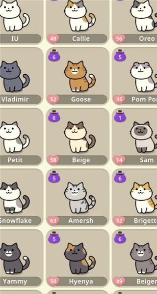 神秘猫咪字典手游截图5
