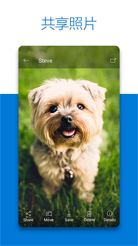 SkyDrive官方版App截图2