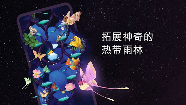 彩翼之星夜官方版截图1