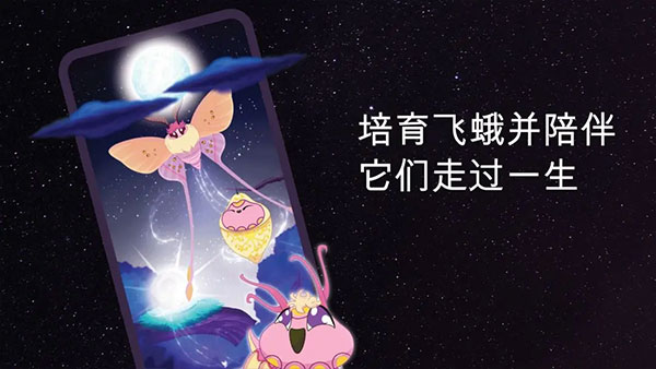 彩翼之星夜官方版截图2