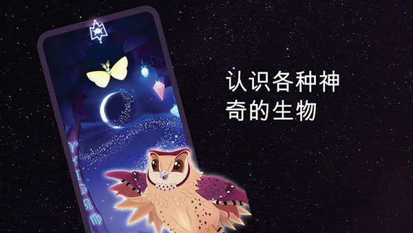 彩翼之星夜官方版截图4