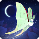 彩翼之星夜官方版v2.230