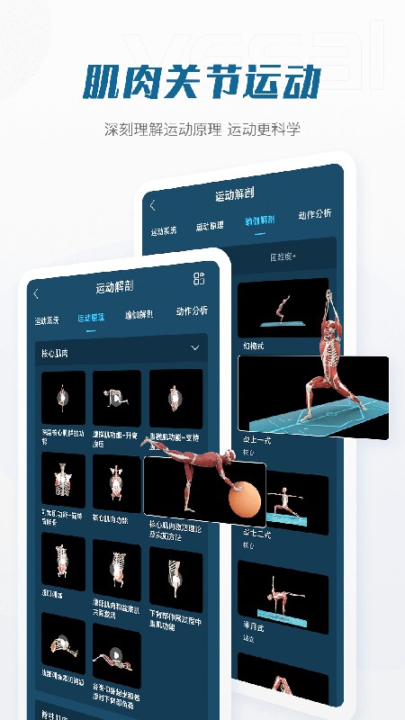 解剖大师免费版截图2