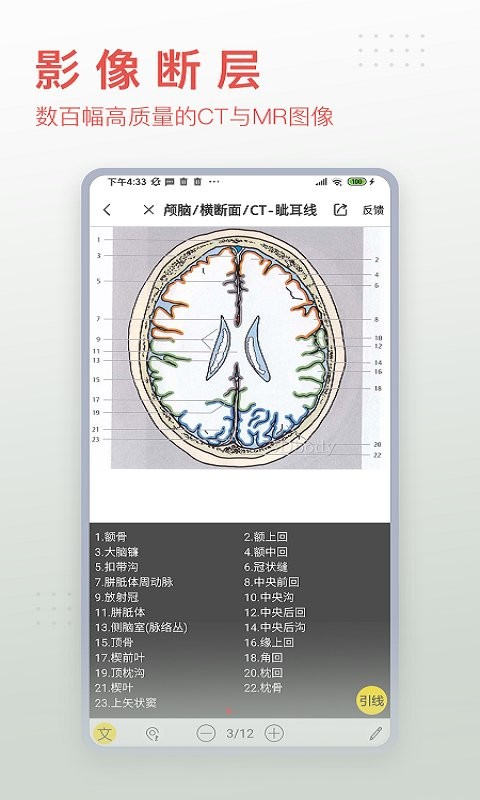 3dbody解剖app免费版截图2