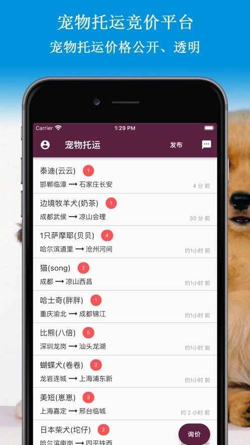 宠物托运平台手机版截图4