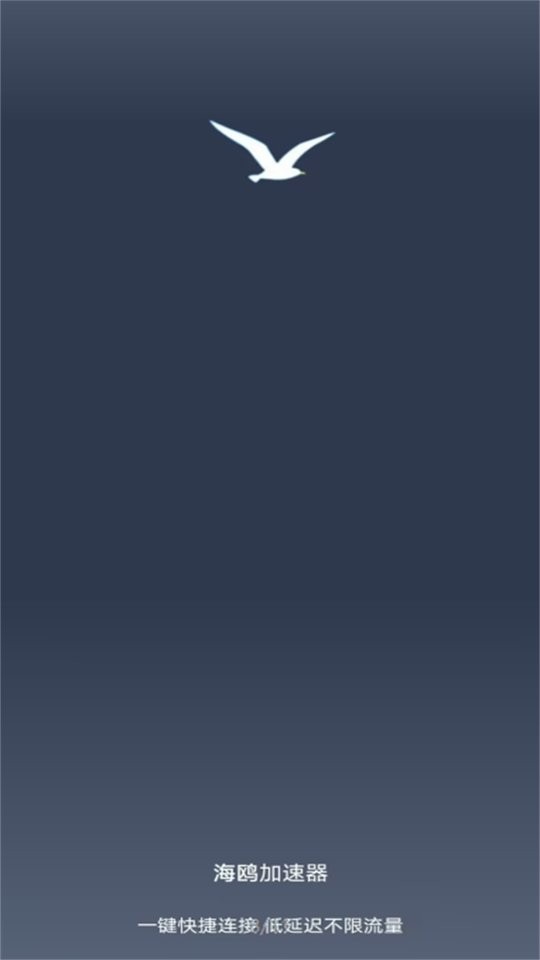 海鸥加速器app截图2