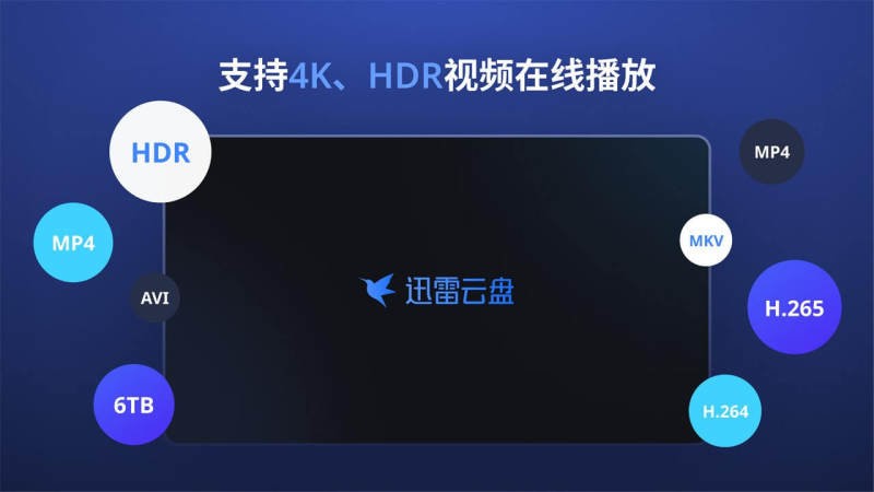 迅雷云盘电视版app