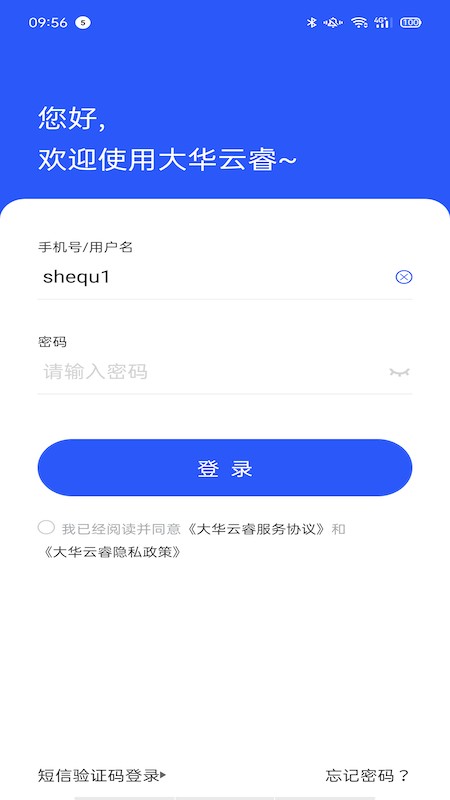 大华云睿平台截图4