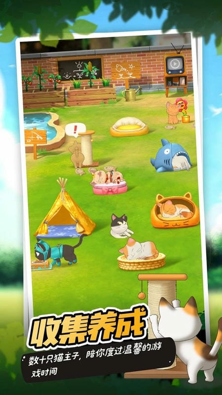 猫语咖啡最新版截图2