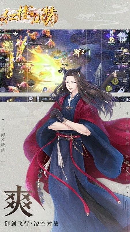 红楼q梦游戏最新版截图2