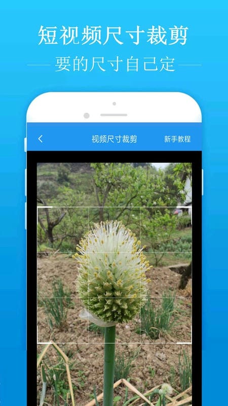 去水印吧最新版本截图2