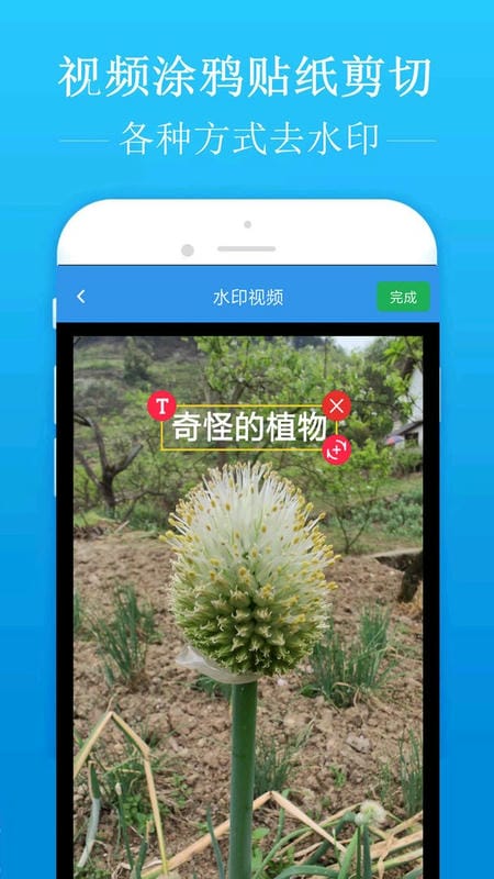 去水印吧最新版本截图3