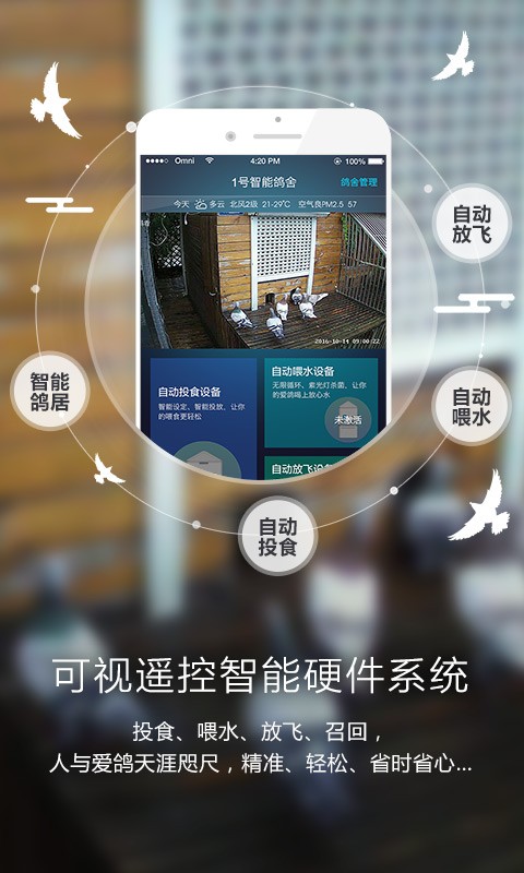爱鸽者app下载安装