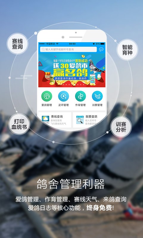 爱鸽者软件截图1