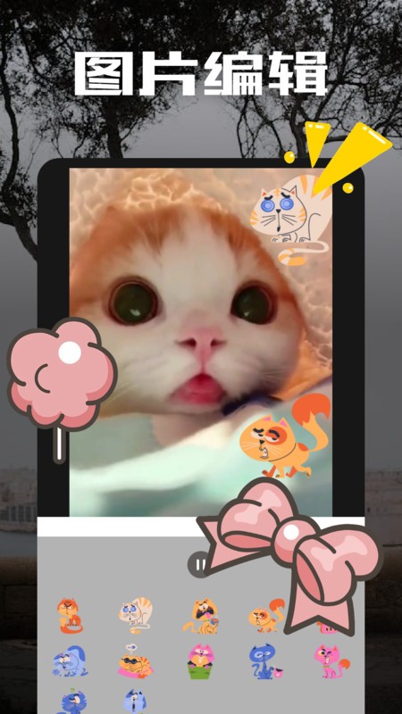 am视频剪辑软件汉化版截图2