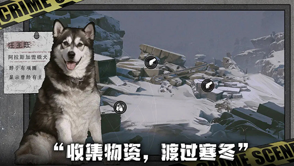 我在末日捡垃圾官方版截图2