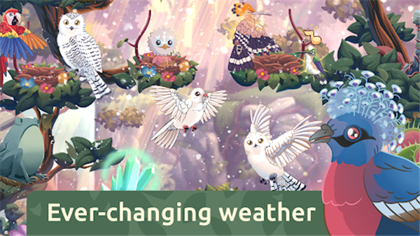 鸟类世界(Bird Kind)截图4