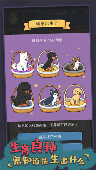 狗生模拟器游戏官方版截图1