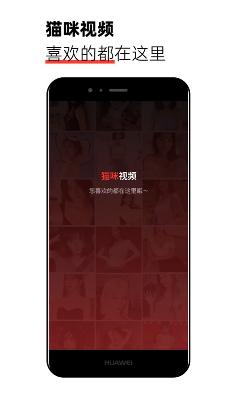 猫咪视频最新版截图2